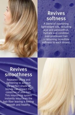 Aveda Blonde Revival™ Purple Toning Conditioner -Beauté Cheveux Soldes aveda blonde revival purple toning conditioner apres shampoing violet 5