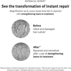 Aveda Botanical Repair™ Strengthening Leave-in Treatment -Beauté Cheveux Soldes aveda botanical repair strengthening leave in treatment soin fortifiant sans rincage pour cheveux abimes 8