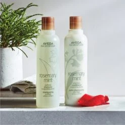 Aveda Rosemary Mint Purifying Shampoo 15 Aveda Rosemary Mint Purifying Shampoo -Beauté Cheveux Soldes aveda rosemary mint purifying shampoo shampoing nettoyant en profondeur brillance 6