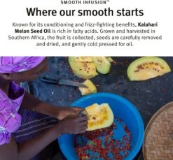 Aveda Smooth Infusion™ Perfect Blow Dry 26 Aveda Smooth Infusion™ Perfect Blow Dry -Beauté Cheveux Soldes aveda smooth infusion perfect blow dry spray brushing disciplinant anti frisottis 10