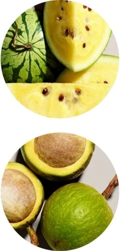 Aveda Smooth Infusion™ Perfect Blow Dry 22 Aveda Smooth Infusion™ Perfect Blow Dry -Beauté Cheveux Soldes aveda smooth infusion perfect blow dry spray brushing disciplinant anti frisottis 6