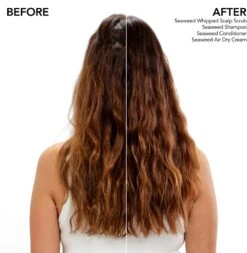 Bumble And Bumble Seaweed Shampoo -Beauté Cheveux Soldes bumble and bumble seaweed shampoo shampoing pour cheveux boucles aux extraits dalgues marines 4