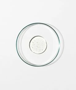 Grown Alchemist Anti-Frizz Shampoo 0.5 -Beauté Cheveux Soldes grown alchemist anti frizz shampoo 0 5 shampoing pour cheveux indisciplines et frisottis 2