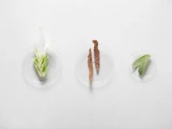 Kérastase Fusio Scrub Énergisant -Beauté Cheveux Soldes kerastase fusio scrub energisant gelee exfoliante pour cuir chevelu gras 2