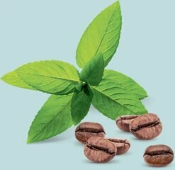 Londa Professional Vital Booster -Beauté Cheveux Soldes londa professional vital booster serum fortifiant et regenerant pour cheveux pour cheveux abimes 4