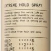 REF Extreme Hold Spray N°525