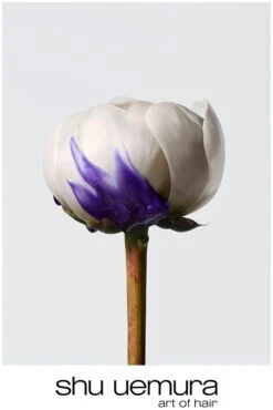 Shu Uemura Yūbi Blonde 13 Shu Uemura Yūbi Blonde -Beauté Cheveux Soldes shu uemura yubi blonde masque anti jaunissement 5